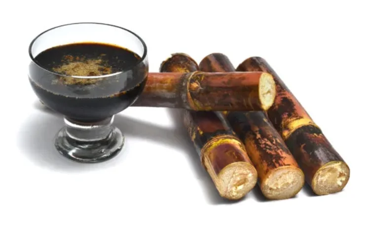 photo_2024-12-14_15-31-20-600×400